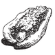 Illustration for article titled The Great American Menu: Foods Of The States, Ranked And Mapped